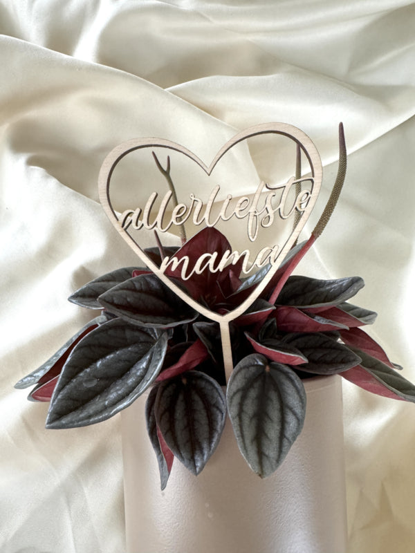 Houten Topper/Plantensteker – Gepersonaliseerd Moederdag Cadeau