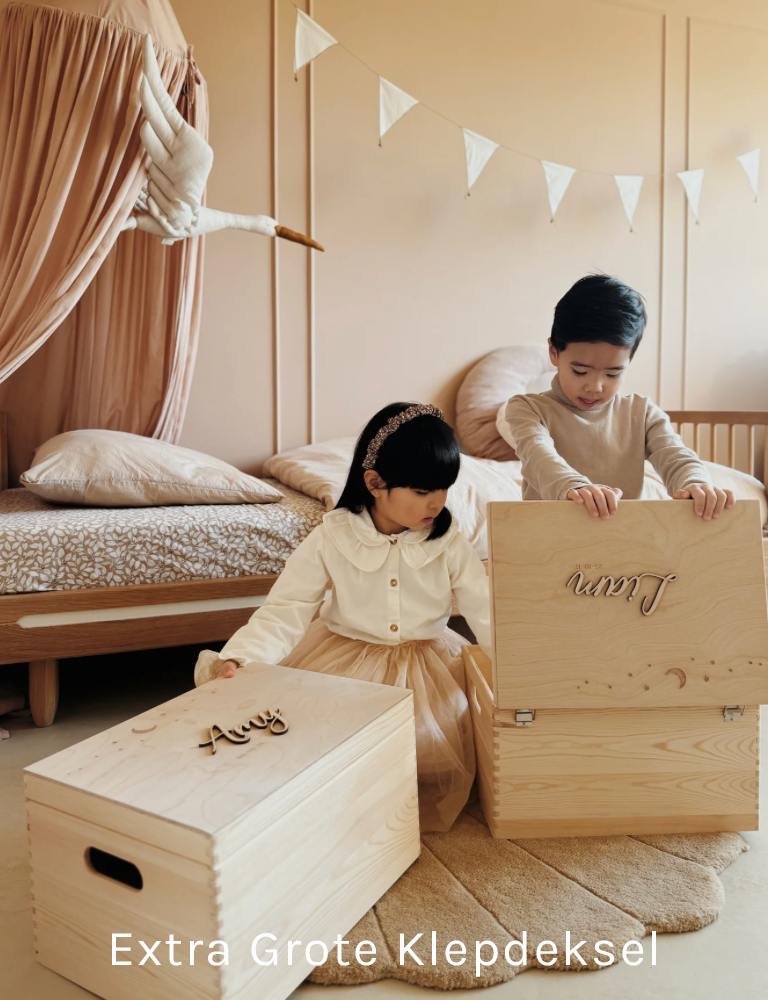 Extra grote memoryboxen met klepdeksel