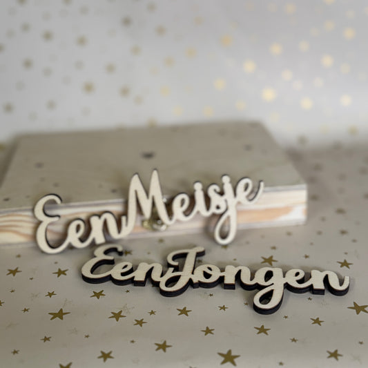 Gender Reveal Uitsnede Hout Jongen of meisje