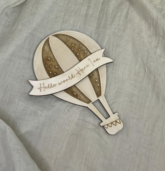 Houten Mijlpaalbordjes Luchtballon Iedere maand een foto