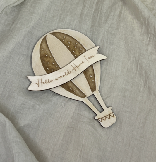 Houten Mijlpaalbordjes Luchtballon Iedere maand een foto