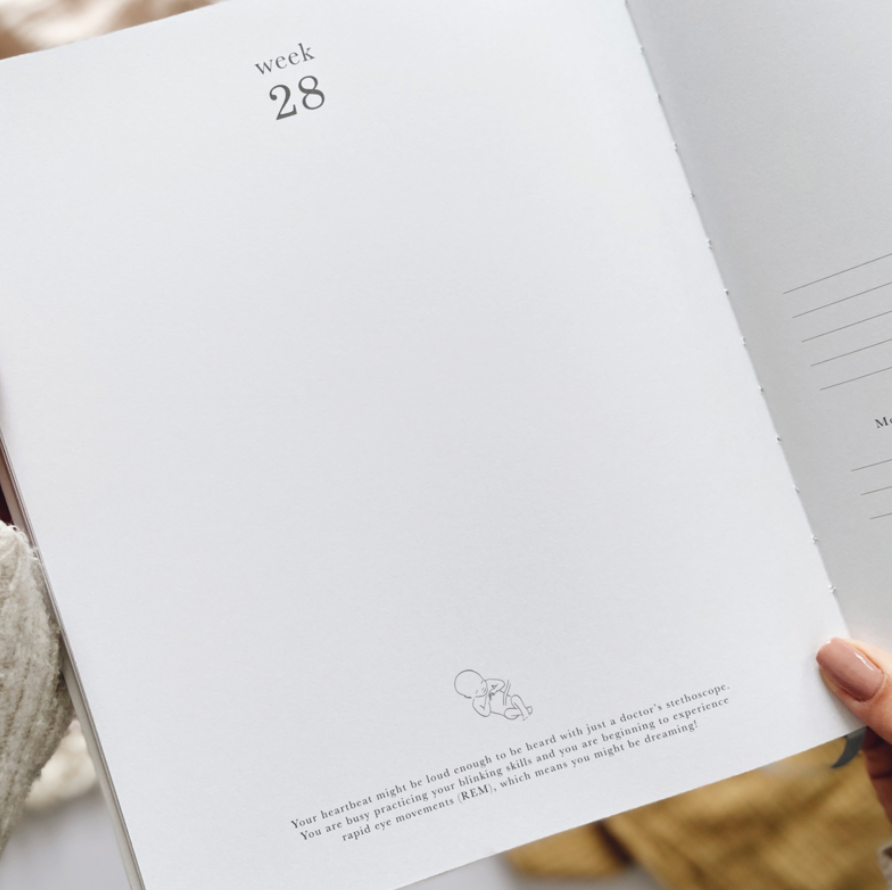 Invulboek My Pregnancy Journal Safari | Blush and Gold