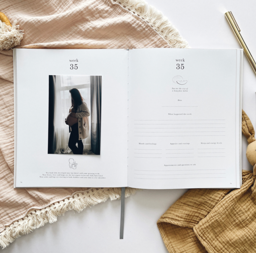 Invulboek My Pregnancy Journal Safari | Blush and Gold