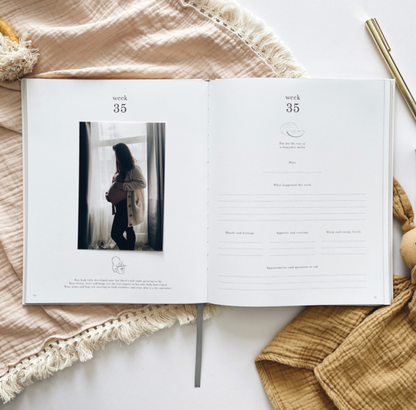 Invulboek My Pregnancy Journal Safari | Blush and Gold