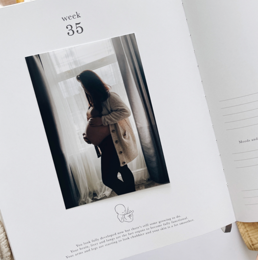Invulboek My Pregnancy Journal Safari | Blush and Gold