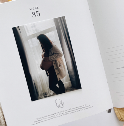 Invulboek My Pregnancy Journal Safari | Blush and Gold