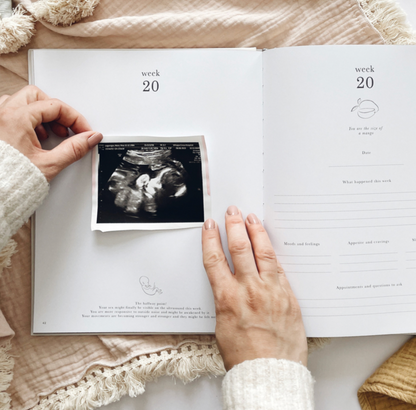 Invulboek My Pregnancy Journal Animals | Blush and Gold