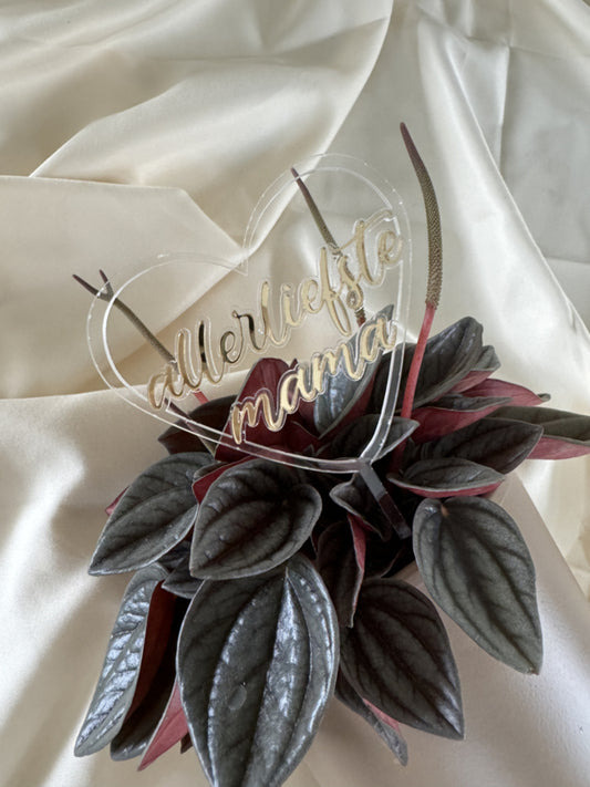 Topper/Plantensteker – Gepersonaliseerd Moederdag Cadeau
